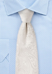 Cravatta business elegante con motivo Paisley