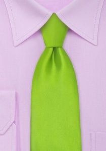 Cravatta verde semplice XXL