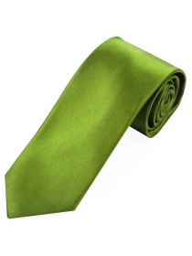 Cravatta lunga in raso di seta monocromatica verde