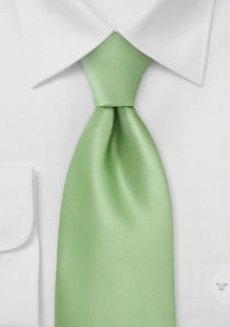 Cravatta verde erba