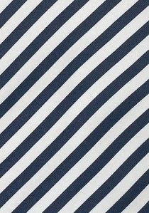 Cravatta business blu bianco