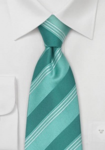 Cravatta turchese righe