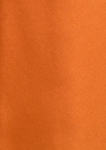 Krawatte in orange