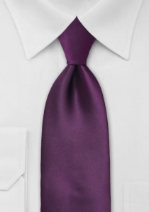 Cravatta porpora