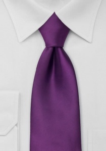 Cravatta viola