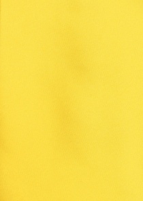 Papillon e sciarpa decorativa da uomo in giallo