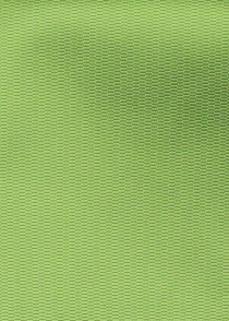Set papillon con fazzoletto struttura verde chiaro