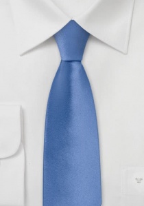 Cravatta sottile blu