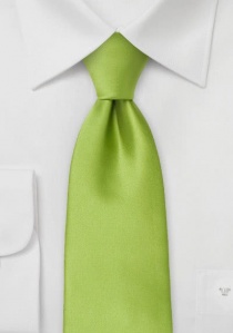 Cravatta clip Moulins verde