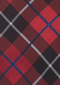 Cravatta quadri scozzesi rosso blu