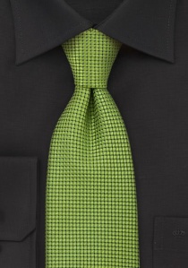Cravatta verde quadrettini