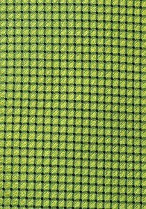 Cravatta verde quadrettini