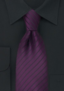 Cravatta clip viola