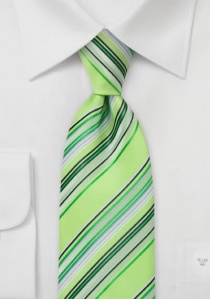 Cravatta righe verdi