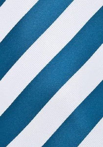 Cravatta righe bianche blu