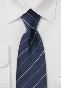 Cravatta business blu righe