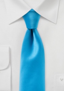 Moda Uomo Cravatta monocromatica blu ciano