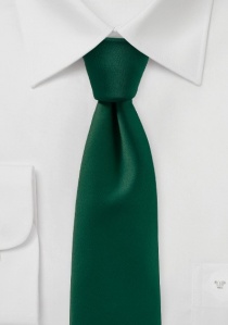 Cravatta di grande effetto in tinta unita verde
