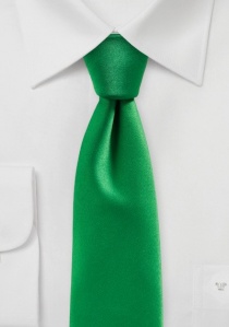 Cravatta moda monocromatica verde bosco