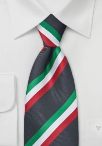 Cravatta dell'Italia color verde bianco rosso