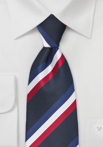 Cravatta da uomo con i colori della Francia