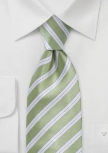 Cravatta verde righe
