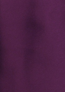Papillon e fazzoletto da taschino viola
