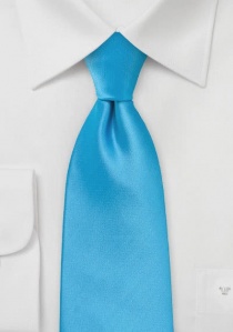 Cravatta clip azzurra