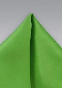 Fazzoletto da taschino verde