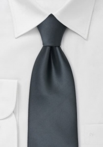 Cravatta antracite