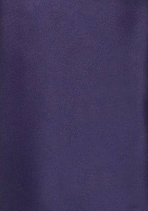 Cravatta Moulins viola scuro