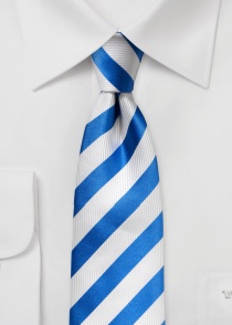 Cravatta business a righe bianche e blu