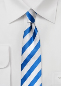 Cravatta business stretta a righe bianche e blu