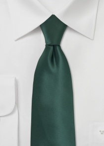 Cravatta verde scuro