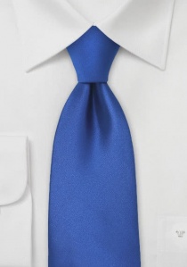 Cravatta clip blu regale