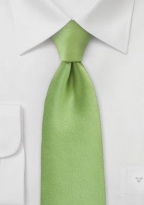Cravatta microfibra verde