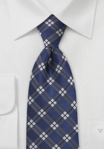 Cravatta quadri blu