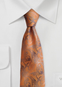 Set di cravatte business con motivo Paisley
