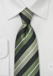 Cravatta business strisce nero verde