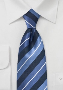 Cravatta strisce blu