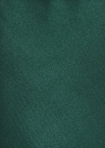 Cravatta Limoges verde