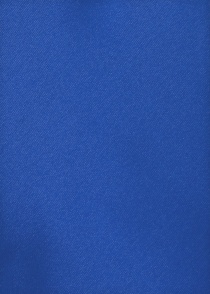 Cravatta clip blu regale