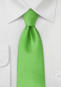 Cravatta clip microfibra verde