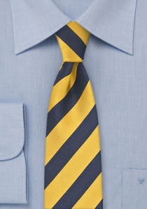 Cravatta sottile righe gialle blu
