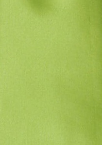 Cravatta Moulins  verde