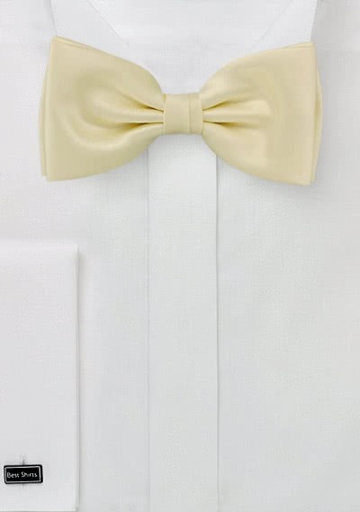 Stylische Schleife monochrom creme Stylische Schleife monochrom creme
