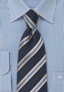 Cravatta blu righe