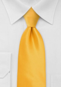 Cravatta clip gialla
