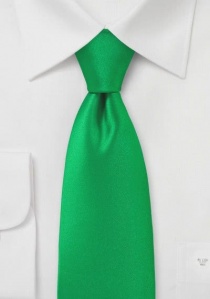 Cravatta verde microfibra