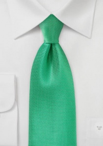 Cravatta verde